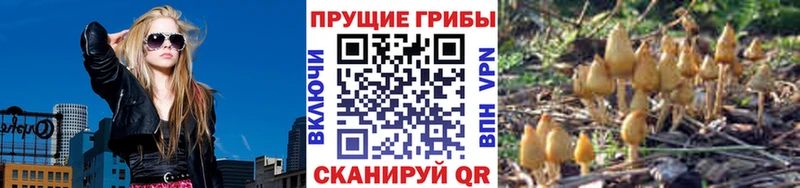 blacksprut маркетплейс Воркута Псилоцибиновые грибы MAGIC MUSHROOMS